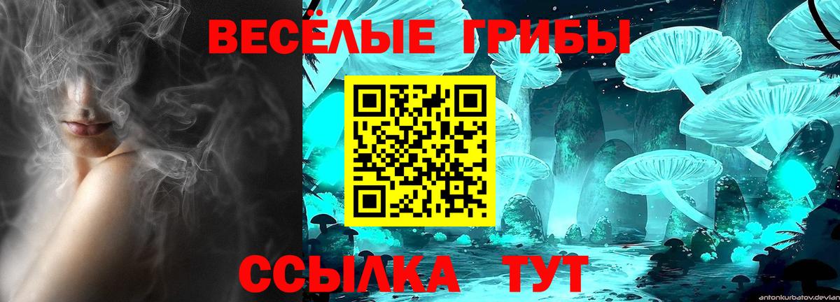 Владикавказ  Псилоцибиновые грибы мухоморы  Вход с VPN  Галлюциногенные грибы мицелий 