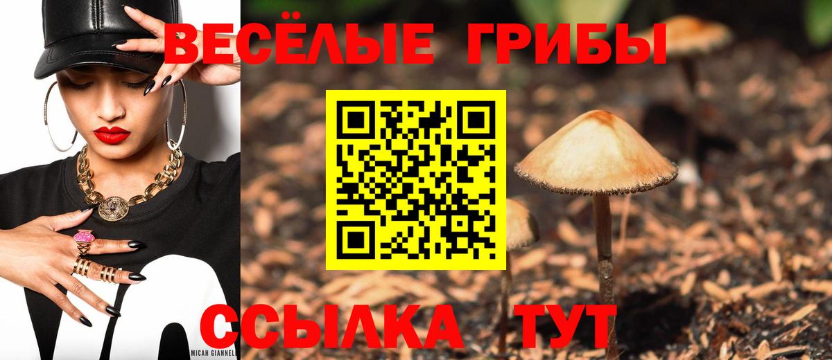 Псилоцибиновые грибы Psilocybine cubensis Владикавказ